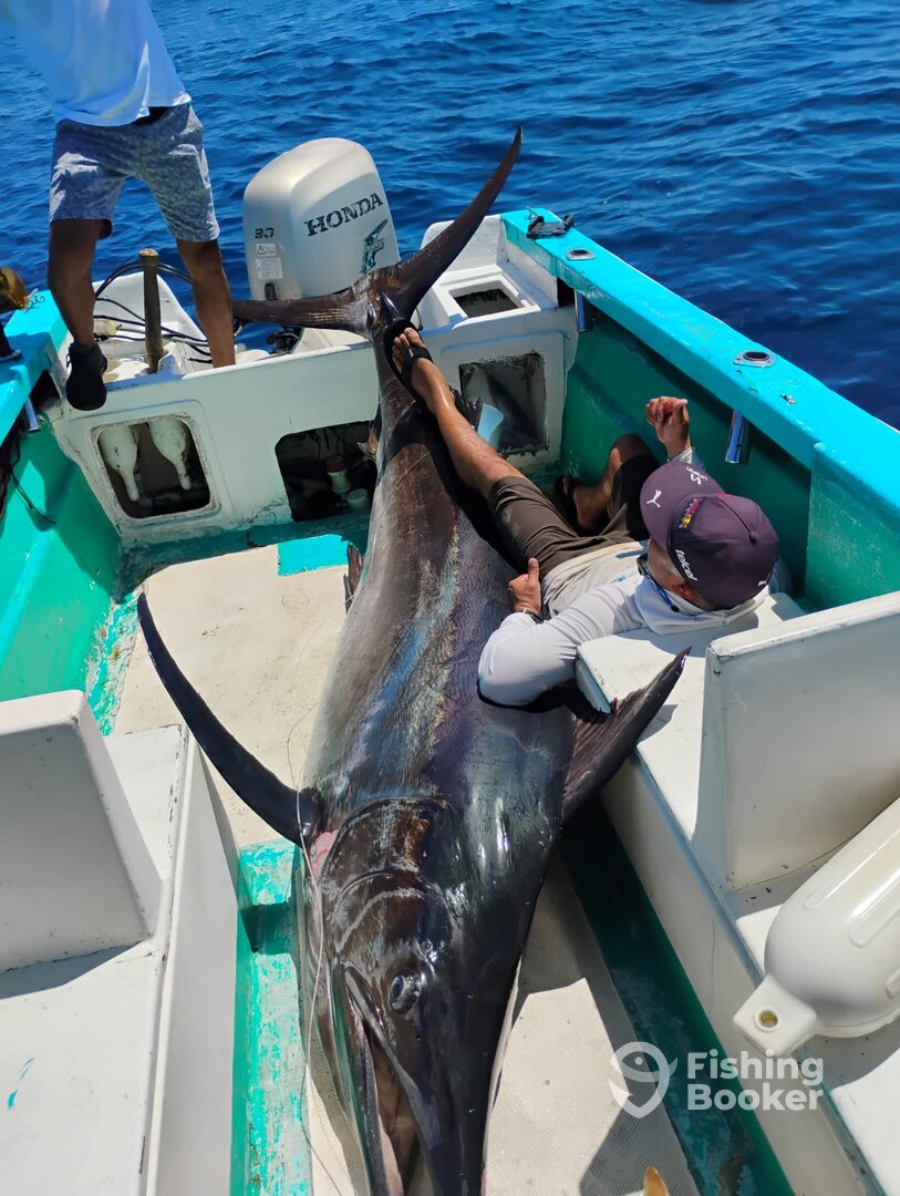San Jose del Cabo Report Photo 0