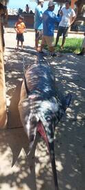 San Jose del Cabo Report Photo 2