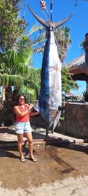 San Jose del Cabo Report Photo 1