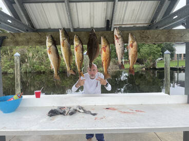 Wild Post Hurricane trip