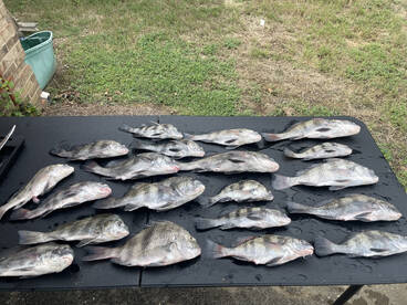 Draw back to Plan B!!