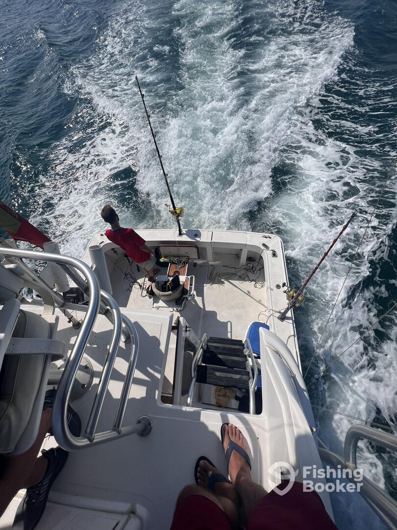 Faro Report Photo 0