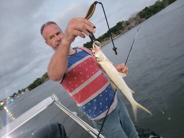 Ladyfish