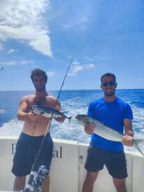 White Marlin, Skipjack and Dolphin Fish