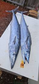 Lake Worth Beach Report Photo 4