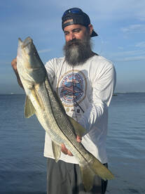Tampa Report Photo 2