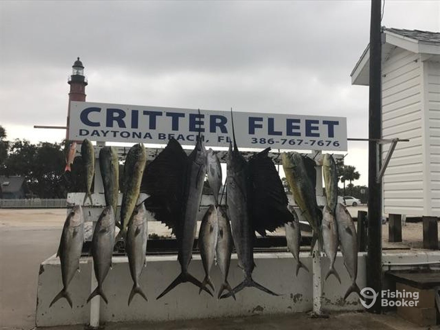 Ponce Inlet Report Photo 0
