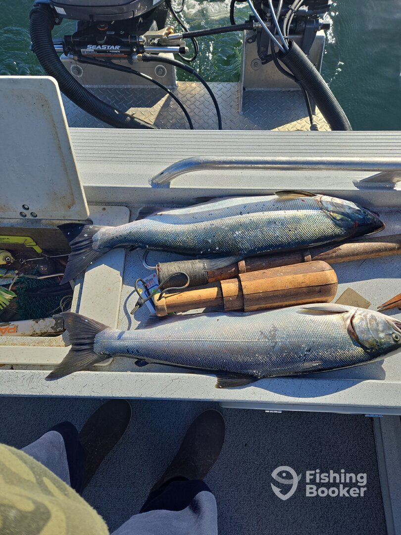 Port Hardy Report Photo 0