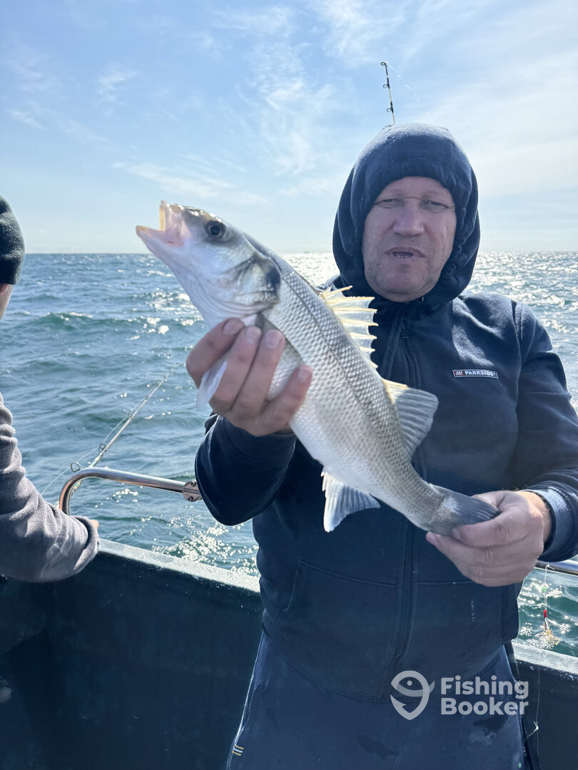 Dover Report Photo 0