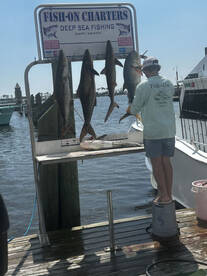 Biloxi Report Photo 2