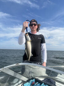 Rodanthe Report Photo 2