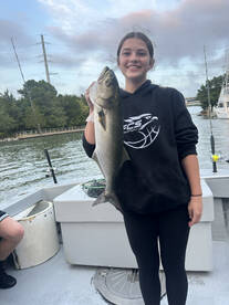 Some great inshore fishing