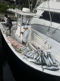 Afternoon half day wreck insanity!