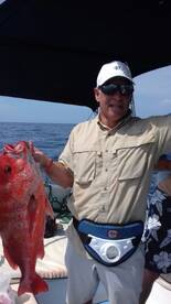 Another snapper