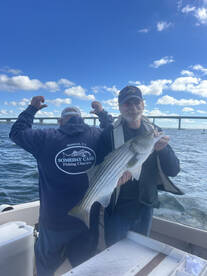 Hampton Bays Report Photo 1