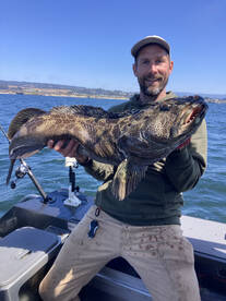 Santa Cruz Report Photo 1