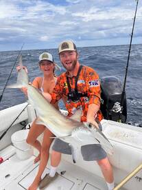 Hammerhead Shark