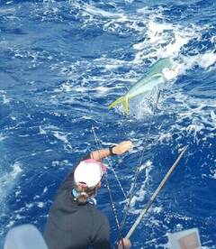 Key West Report Photo 2