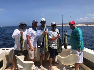 Cabo San Lucas Report Photo 1