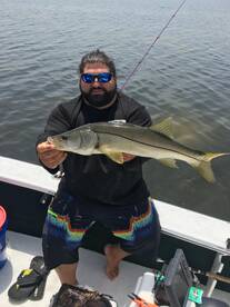 Tampa Report Photo 2