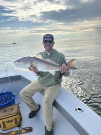 Hilton Head Island Report Photo 2