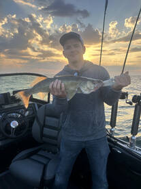 Vermilion Report Photo 2