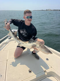 San Diego Bay Late Summer Fish Report 