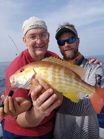  lane snapper offshore ponce inlet