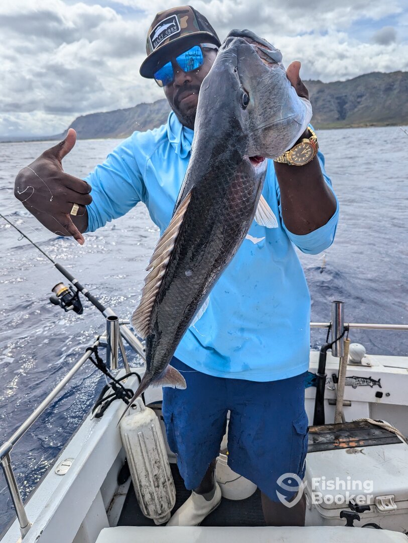 Haleiwa Report Photo 0