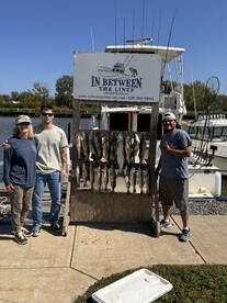 Mentor Report Photo 3