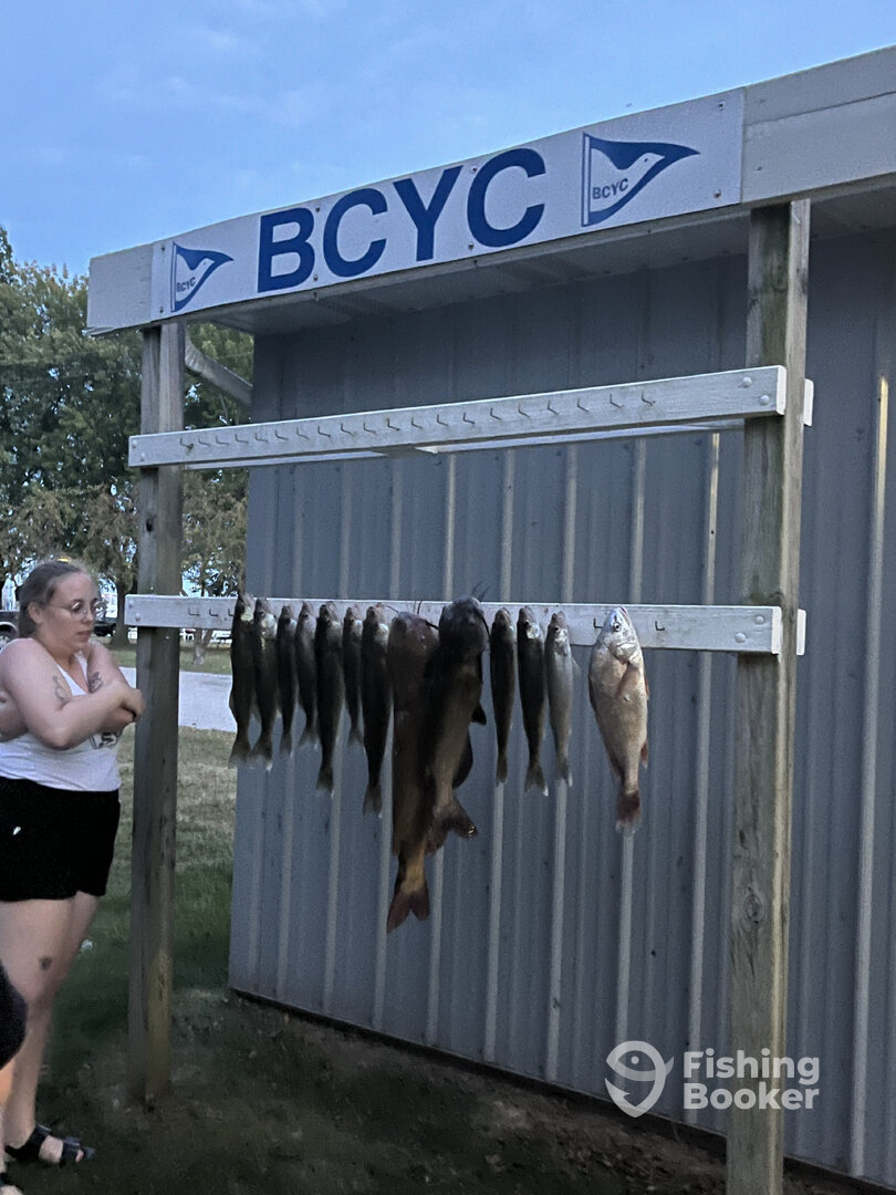 Bay City Report Photo 0