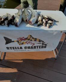 Pasadena Report Photo 1