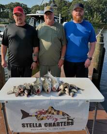 Rockfish bite is Hot!!