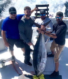 Epic Montauk Tuna Fishing!