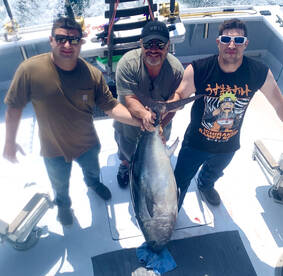 Montauk Report Photo 2