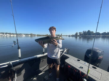 Salmon casting/jigging has been on fire!