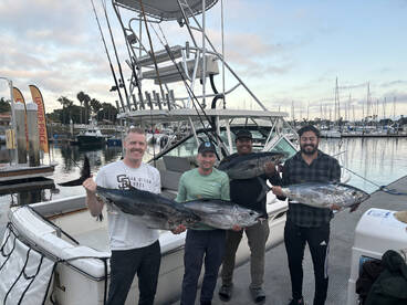 Bluefin Tuna at the Coronado Islands are