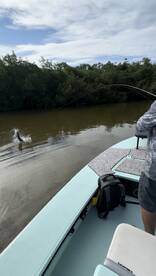 Islamorada Report Photo 1