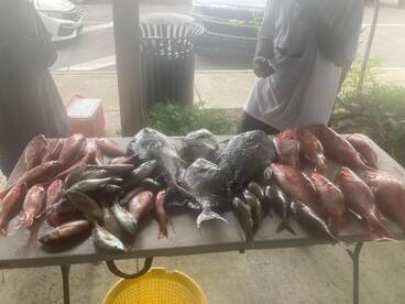 Pensacola Report Photo 2