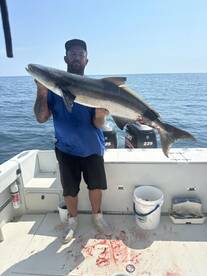 Mahi, Muttons, groupers, tunas, and more