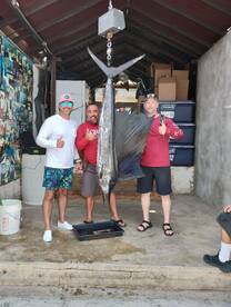 Cabo San Lucas Report Photo 2