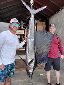 Cabo San Lucas Report Photo 1