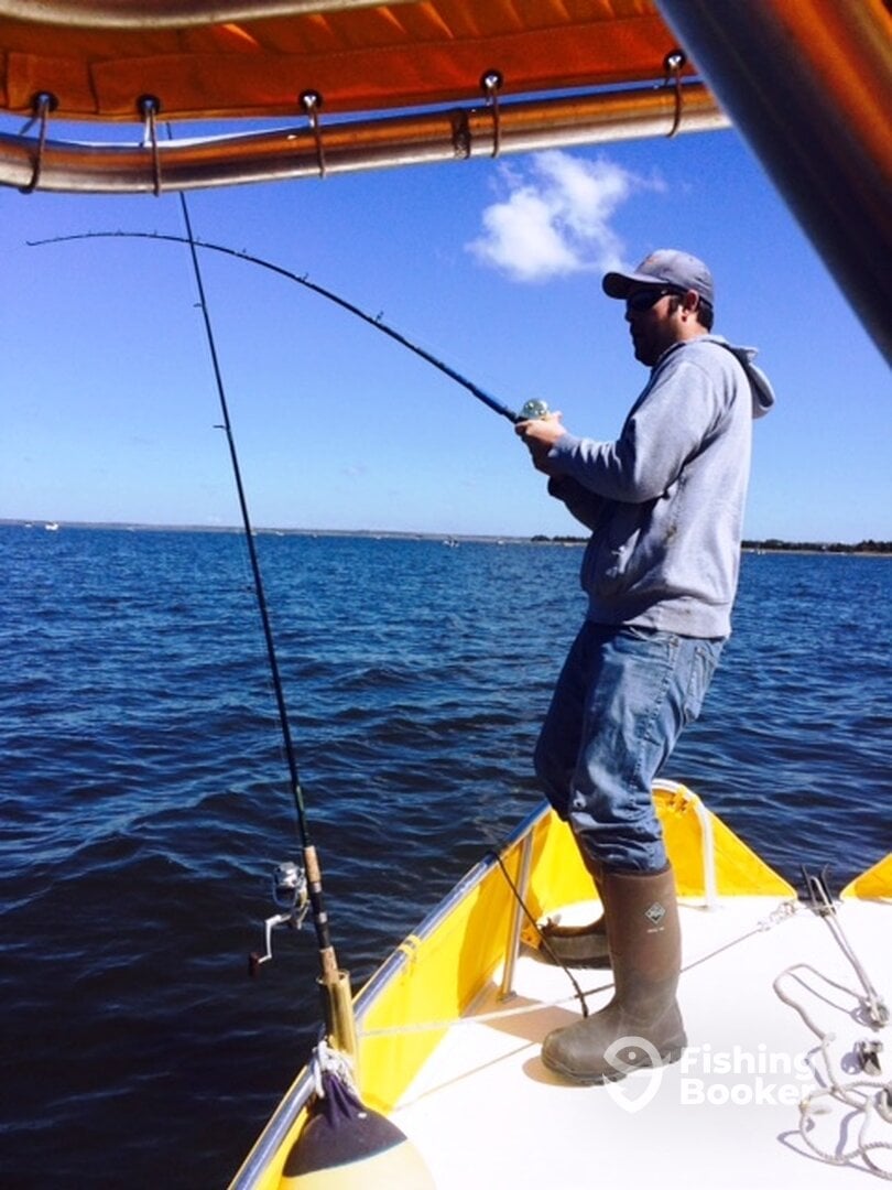 Brigantine Report Photo 0