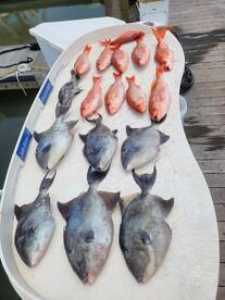 Charleston offshore fishing 