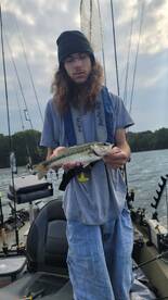 Harrison Report Photo 1