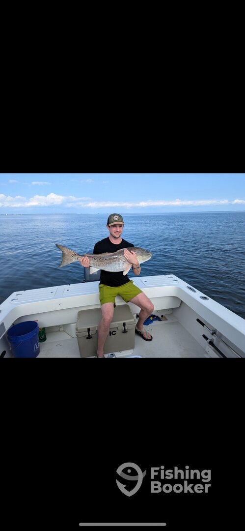 Crisfield Report Photo 0
