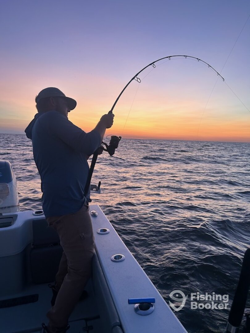 Beaufort Report Photo 0