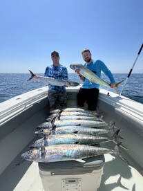 Beaufort Report Photo 1