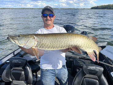 Musky bite is heating up!