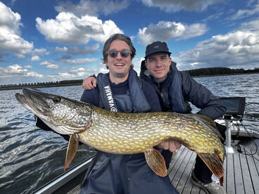Double digit pike day near Amsterdam